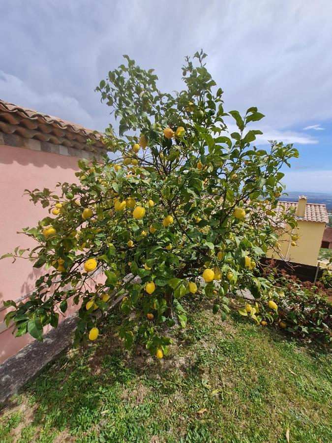 Adorable Maison Independante 30M2 Avec Piscine En Saison Кабри Екстериор снимка